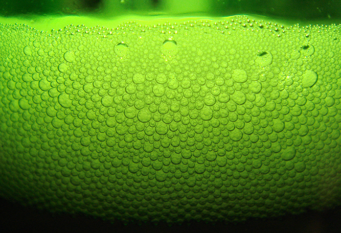 Bootstrap Image Preview