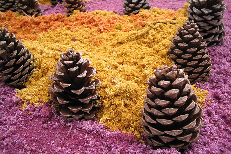 Bootstrap Image Preview